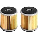(PACK OF 2) Engine Oil Filter Cleaner Element Assy for R15 V2(2014, 2016), R15V3 (2019-2020), R15V4(2022-2023) FZ25 (2021,2022,2023), MT-15 (2021, 2022, 2023) O.E type