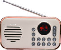 PAGARIA WALKIE RADIO FM Radio