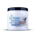 Paint & Varnish Remover Gel, Odourless, Eco-Friendly, Non-Toxic, Non-Flammable - Powerful Water-Based Paint Stripper for Wood, Metal, Concrete & More - 750ml