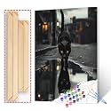 Paint by Numbers for Adult DIY Animal Reflection in Water Black Cat or Black Panther Canvas Oil Painting Kits Acrylic Watercolor Paint for Beginner Kids Home Wall Art Decor 16''W x 20''H(Manual Frame)
