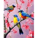 Paint by Numbers DIY Acrylic Painting Kit for Kids & Adults Beginner – 16" Wx20 L Colorful Bird Pattern