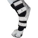 Pair of Dog Leg Braces, Ultra Supportive, Comfortable, Dual Metal Springs, Hind Leg Wraps, Canine Hock Brace for Joint Arthritis, Assists Injury &amp; Sprains (White Skulls, Large)