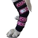 Pair of Dog Leg Braces, Ultra Supportive, Comfortable, Dual Metal Springs, Canine Hock Brace for Joint Arthritis, Assists Injury &amp; Sprains (Medium, Purple Stars)
