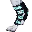 Pair of Dog Leg Braces, Ultra Supportive, Comfortable, Dual Metal Springs, Hind Leg Wraps, Canine Hock Brace for Joint Arthritis, Assists Injury &amp; Sprains (Light Blue Dog Bone, Large)