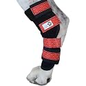 Pair of Dog Leg Braces, Ultra Supportive, Comfortable, Dual Metal Springs, Canine Hock Brace for Joint Arthritis, Assists Injury &amp; Sprains (Medium, Red Skulls)
