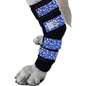 Pair of Dog Leg Braces, Ultra Supportive, Comfortable, Dual Metal Springs, Canine Hock Brace for Joint Arthritis, Assists Injury & Sprains (Medium, Blue Stars)