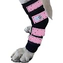 Pair of Dog Leg Braces, Ultra Supportive, Comfortable, Dual Metal Springs, Canine Hock Brace for Joint Arthritis, Assists Injury &amp; Sprains (Pink Stars, Large)