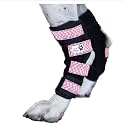Pair of Dog Leg Braces, Ultra Supportive, Comfortable, Dual Metal Springs, Canine Hock Brace for Joint Arthritis, Assists Injury &amp; Sprains (Pink Dog Bone, Large)