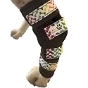 Pair of Dog Leg Braces, Ultra Supportive, Comfortable, Dual Metal Springs, Canine Hock Brace for Joint Arthritis, Assists Injury &amp; Sprains (Medium, Rainbow Dog Bone Background)