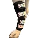 Pair of Ultra Supportive Dog Leg Braces, Comfortable, Dual Metal Springs, Canine Brace for Joint Arthritis, Assists Injury &amp; Sprains (Rainbow Dog Bone, Large)