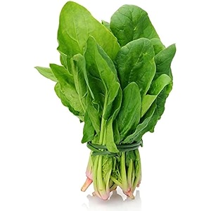 palak seeds for planting  spinach seeds for home kitchen garden terrace amp balcony gardening  easy to grow pack of 300 seed