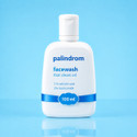 Palindrom 2 Salicylic Acid 2 Niacinamide
