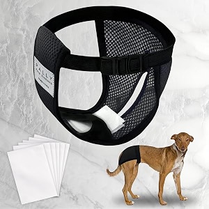 pally pets39 products female dog use breathable reusable female dogs diapers with 6 absorbption cotton pad comfort reusable doggy diapers for female dog large recommended waist - 13734 to 2034