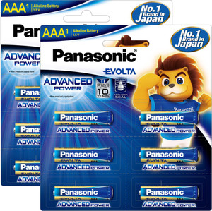 Panasonic LR03EG-12B Battery Pack of 12