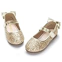 PANDANINJIA Toddler Dress Shoes Flower Girls Ballet