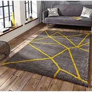 The Panipat Home Furnishing Anti Slip Shaggy