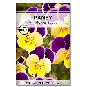navika seeds  grow with us pansy flower seeds for home gardening perfect for home amp terrace gardening winter and summer blooms in india - includes free e-book
