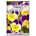 Navika Seeds ; Grow with Us Pansy Flower Seeds For Home Gardening. Perfect For Home &amp; Terrace Gardening Winter And Summer Blooms In India - Includes Free E-Book