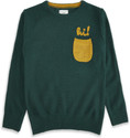 Pantaloons Junior Self Design Round Neck Casual Boys Green, Yellow Sweater
