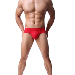 PANTEASY Mens Silky Touch Modal Microfiber Underpants