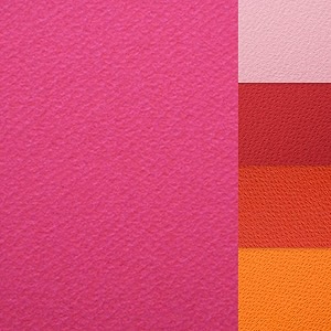 paper pep colorissimi card stock 220gsm 434x634 shades of love assorted pack of 30 sheets