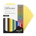 Paper Pep Colorissimi Card Stock 220GSM A3 Girasole (Light Yellow) Unicolor Pack of 16 Sheets