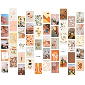 Paper9store Pack of 50 Aesthetic Wall Collage