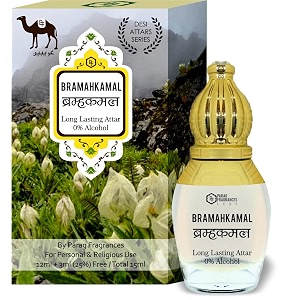 parag fragrances desi attar series 12ml  3ml free  15ml natural amp long lasting fragrance alcohol free attaritra for personal amp religious use bramahkamal