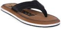 Paragon K3304G Flip Flops For Men | Lightweight Slipper | Durable | Everyday Use Men Flip Flops (Brown , 6)
