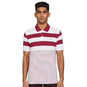 Park Avenue Mens Cotton Regular Fit T-Shirt