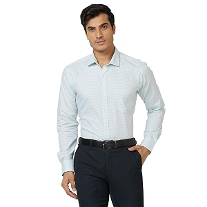Park Avenue Slim Fit Pure Cotton Checks