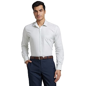 Park Avenue Mens Cotton Regular Fit Shirt