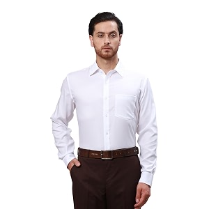 Park Avenue Men Cotton Regular Fit Shirt