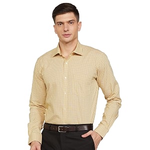 Park Avenue Men Cotton Regular Fit Shirt