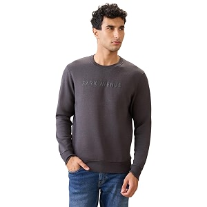 Park Avenue Men Full Sleeve Slim Fit