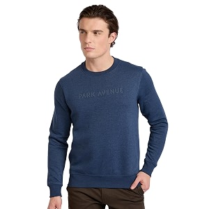 Park Avenue Men Full Sleeve Slim Fit