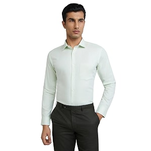 Park Avenue Men Regular Fit Shirt