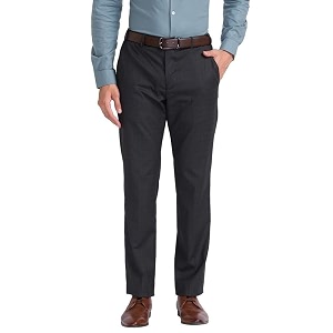 Park Avenue Men Regular Fit Trouser