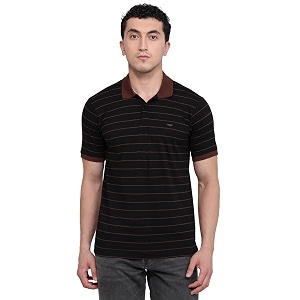 Park Avenue Men Slim Fit Stripe Pattern