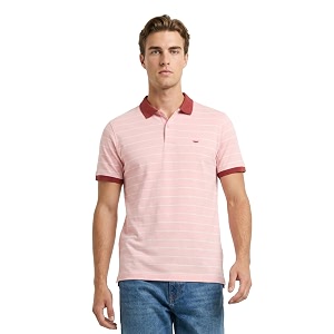 Park Avenue Men Slim Fit Stripe Pattern