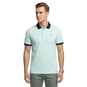 Park Avenue Men Slim Fit Stripe Pattern
