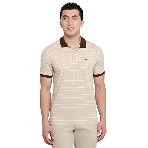 Park Avenue Men Slim Fit Stripe Pattern