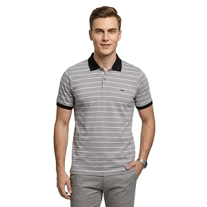 Park Avenue Men Slim Fit Stripe Pattern