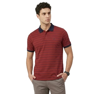 Park Avenue Men Slim Fit Stripe Pattern