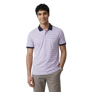 Park Avenue Men Slim Fit Stripe Pattern