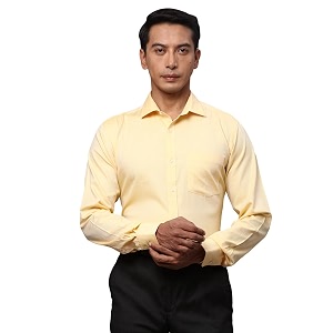 Park Avenue Mens Cotton Regular Fit Shirt