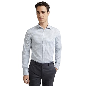 Park Avenue Slim Fit Pure Cotton Checks