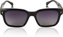 Park Line Wayfarer Sunglasses