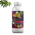 Pure Cold Pressed Water-Soluble Neem Oil for Spray on Plants and Garden (250ml)