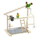 Parrot Playstand Bird Playground Wood Perch Stand